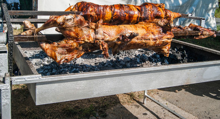 Appetizing grilled lamb on the spit. Roasted pig on the traditio