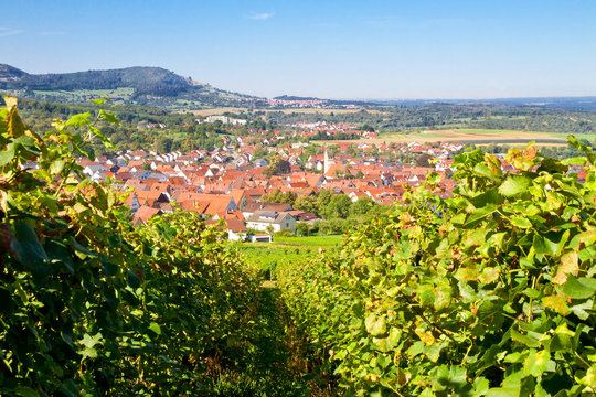 Blick auf Beuren mit Weinbergen - schw&auml;bische Alb