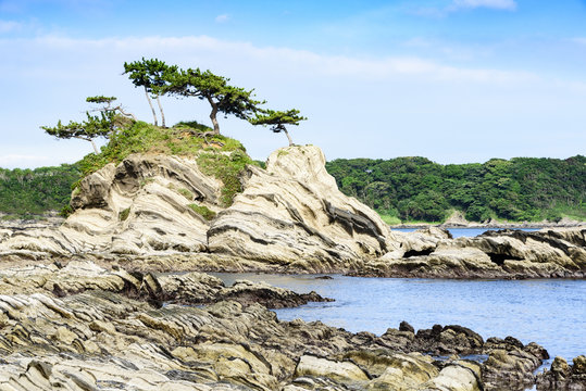 水彩画「荒崎海岸」 水彩画「荒崎海岸」