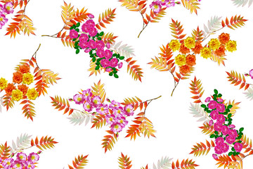 flower buds of roses isolated on white background. rowan