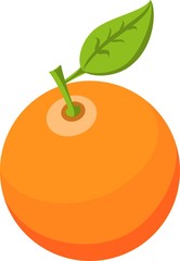 Orange Vector Isolated Illustration