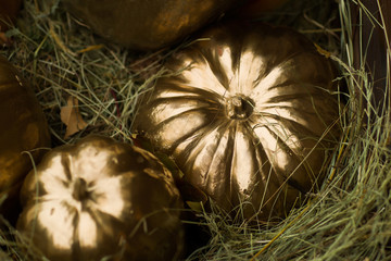 golden halloween pumpkin on straw heap