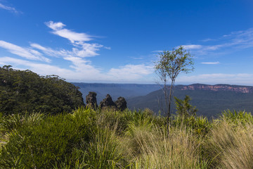 Fototapeta na wymiar Green valley, blue sky clouds and three sisters rocks from echo point in Katoomba.