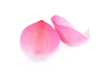 Closeup on lotus petal on white background