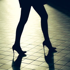 Female legs in glamour shoes