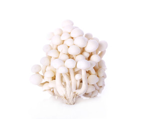 White beech mushrooms Edible isolate on white background