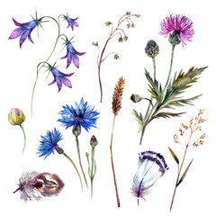 Hand drawn watercolor wildflowers - obrazy, fototapety, plakaty