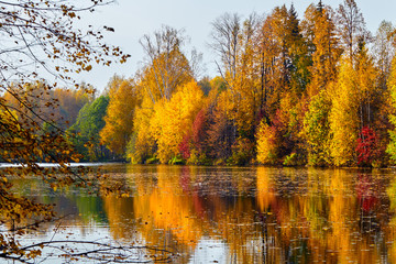 Autumn, yellow trees, water
