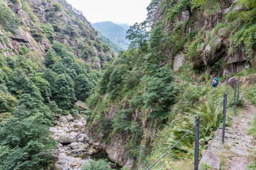 Wandern im Nationalpark Valgrande auf dem Weg von Pogallo nach Cicogna 