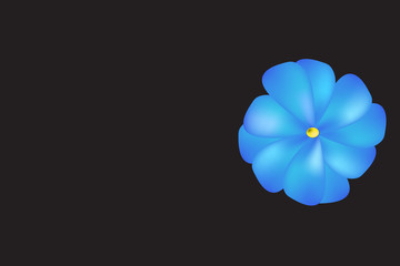 Black background with blue flower
