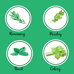 Set of organic greenery and herbs colored icons, vector illustration