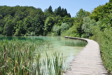 Fototapeta na wymiar A path between the lakes in Plitvice Lakes National Park