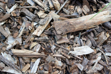 Pile of Mulch Chips and Pieces