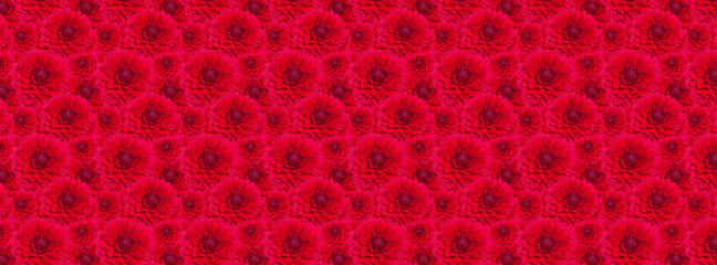 cover  texture blossomed lush red dahlia