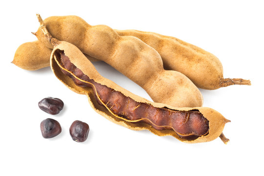 Tamarind on white background ( Tamarindus indica L., FABACEAE )