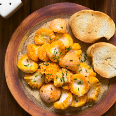 Fresh salad made of Chilean Pinatra or Diguene edible mushroom (lat. Cyttaria espinosae), lemon juice, oil, chives, salt and pepper, photographed overhead with natural light