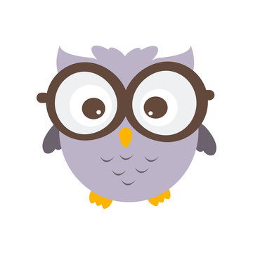 owl Vector Illustration.