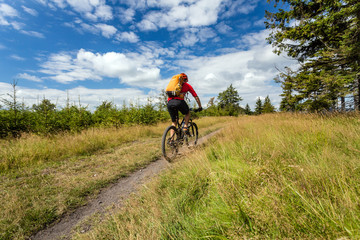 Mountain biker cycling riding in woods and mountains