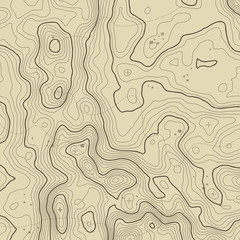 Fototapeta premium Topographic map background concept with space for your copy. Topography lines art contour , mountain hiking trail , Shape vector design. Computer generated .