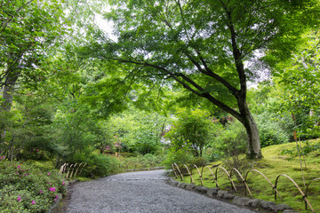 Garden in Tenryu-ji Temple, Kyoto, Japan