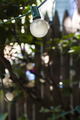 Light bulbs in the garden