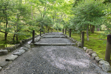 Garden in Tenryu-ji Temple, Kyoto, Japan