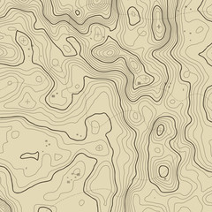 Fototapeta premium Topographic map background concept with space for your copy. Topography lines art contour , mountain hiking trail , Shape vector design. Computer generated .