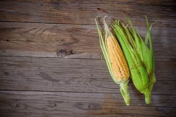 top view corn cob on wooden table - obrazy, fototapety, plakaty