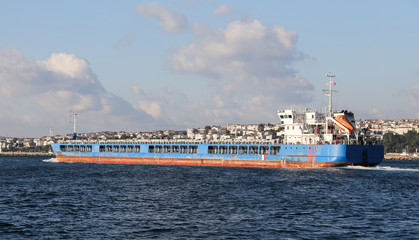 Fototapeta premium Cargo Ship in Sea