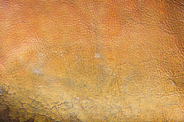 old brown leather texture