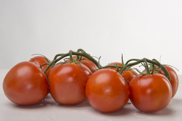 tomatoes