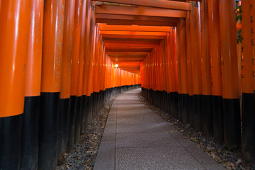Torii gate at Fushimi Inari Shrine, Kyoto, Japan