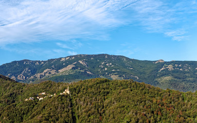 Fototapeta na wymiar forêt de châtaigniers et village en haute Corse