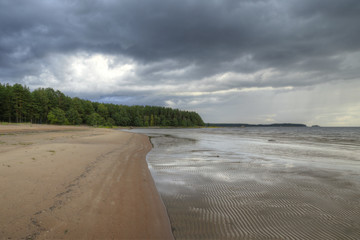 View of Gulf Forest and Barren Beach