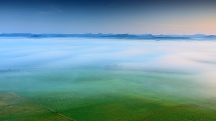 Foggy autumn landscape. Herd of sheeps on meadow