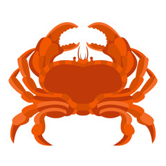 sea crab isolated vector illustration flat style