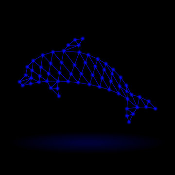 Abstract Dolphin