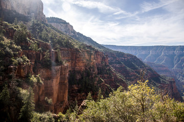 Grand Canyon National Park USA North rim 3