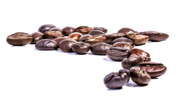 Coffee Bean with white