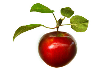 Red apple on a white background. Red apple with green leaves.