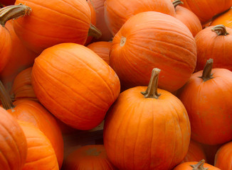 Orange Pumpkins / Bright orange pumpkins in a bin at a farmers market.