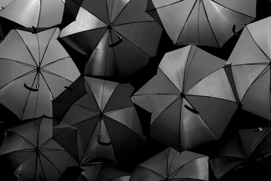 Black Umbrella