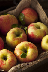 Raw Organic Honeycrisp Apples