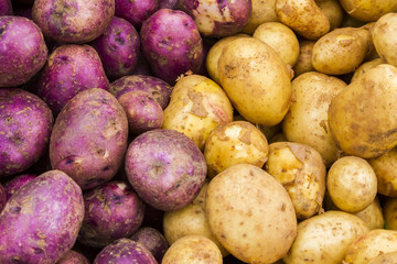 Fresh organic potatoes in a pile for sale at a farmer's market