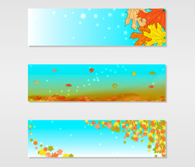 Set of vector banners with colored autumn maple leaves on a blue background