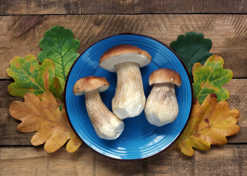 White mushrooms on a plate and oak leaves on the table, top view