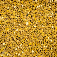 Big bunch of bee pollen granules texture, close up