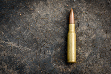 7.62mm Bullet on Copy Space Background