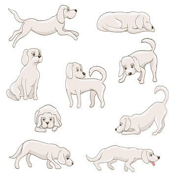 cute cartoon dog in various poses. vector illustration