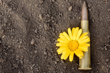 7.62mm Bullet and Flower